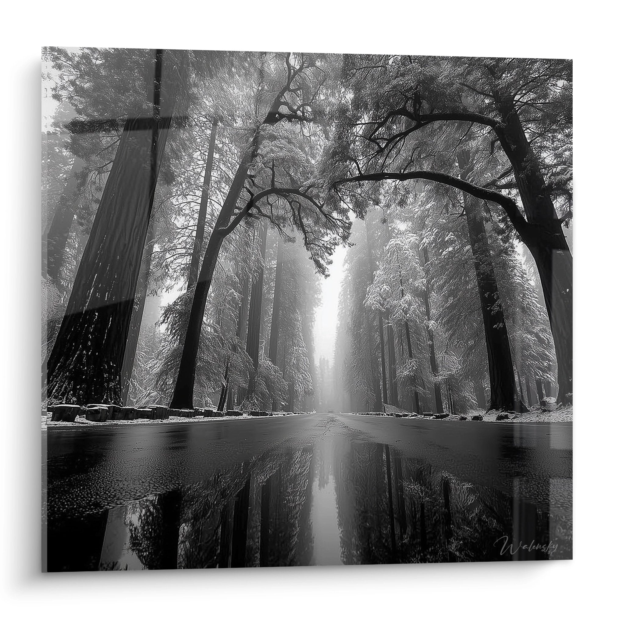 Tableau mural forêt dans la brume avec reflets sur l'eau, photographie noir et blanc artistique nature