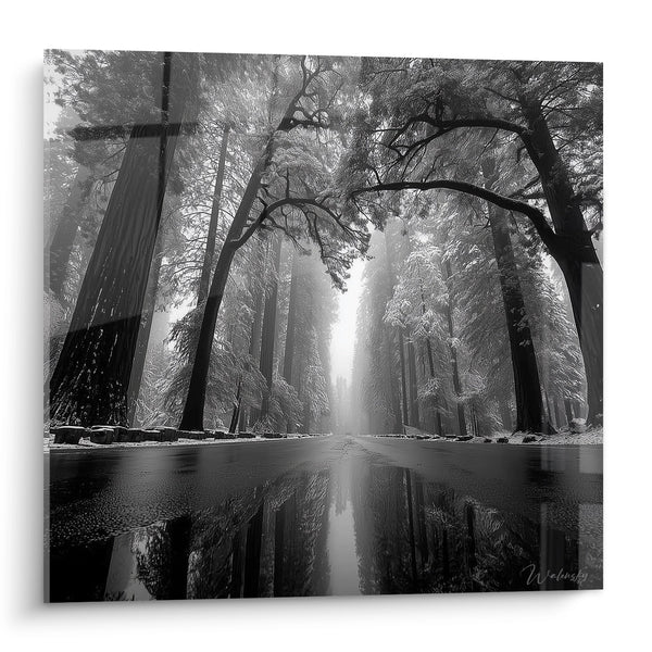 Tableau Foresta Nebbia Mattutina - Riflessioni Misteriose - edizione Foresta