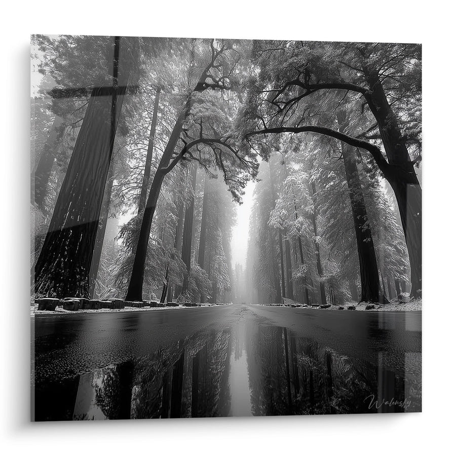 Tableau Forêt Brume Matinale - Reflets Mystérieux - édition Forêt