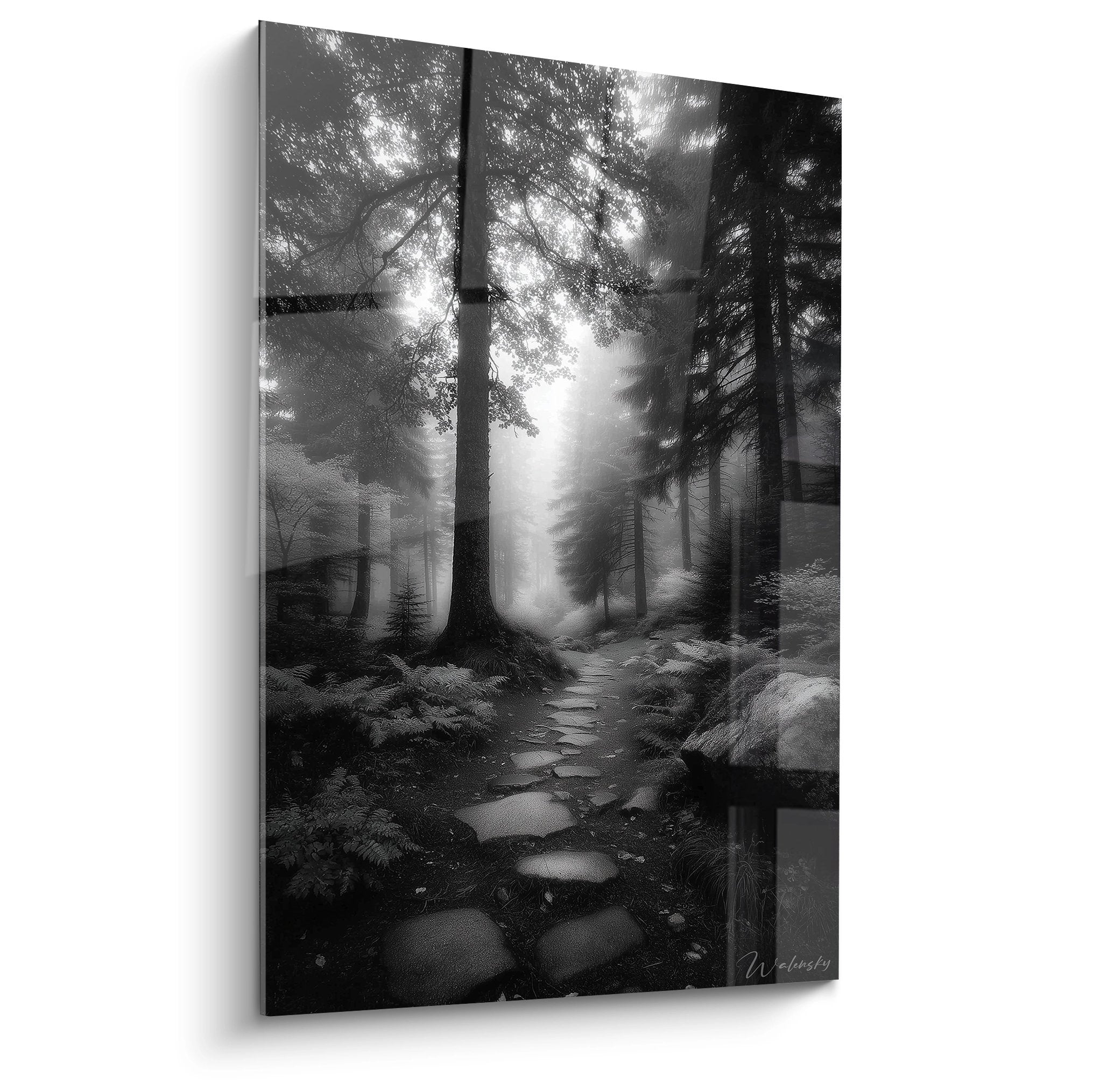 Tableau mural forêt mystérieuse noir et blanc avec sentier de pierre et rayons de lumière divine