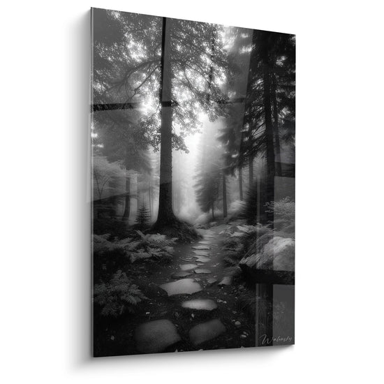 Tableau mural forêt mystérieuse noir et blanc avec sentier de pierre et rayons de lumière divine