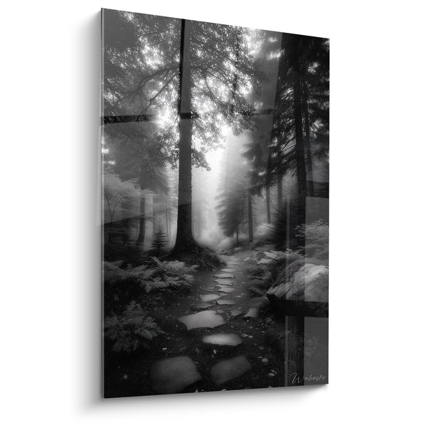 Cuadro Bosque Misterioso Sendero de Piedra - Luz Divina - edición Bosque