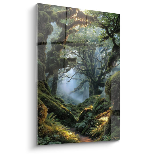 Tableau mural forêt mystique avec arbres moussus et brume, décoration nature zen pour intérieur