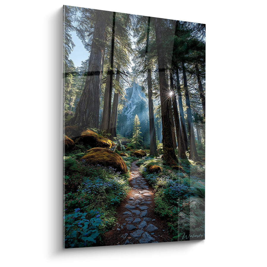 Tableau Sentier de Forêt Mystique - Chemin des Géants - édition Forêt