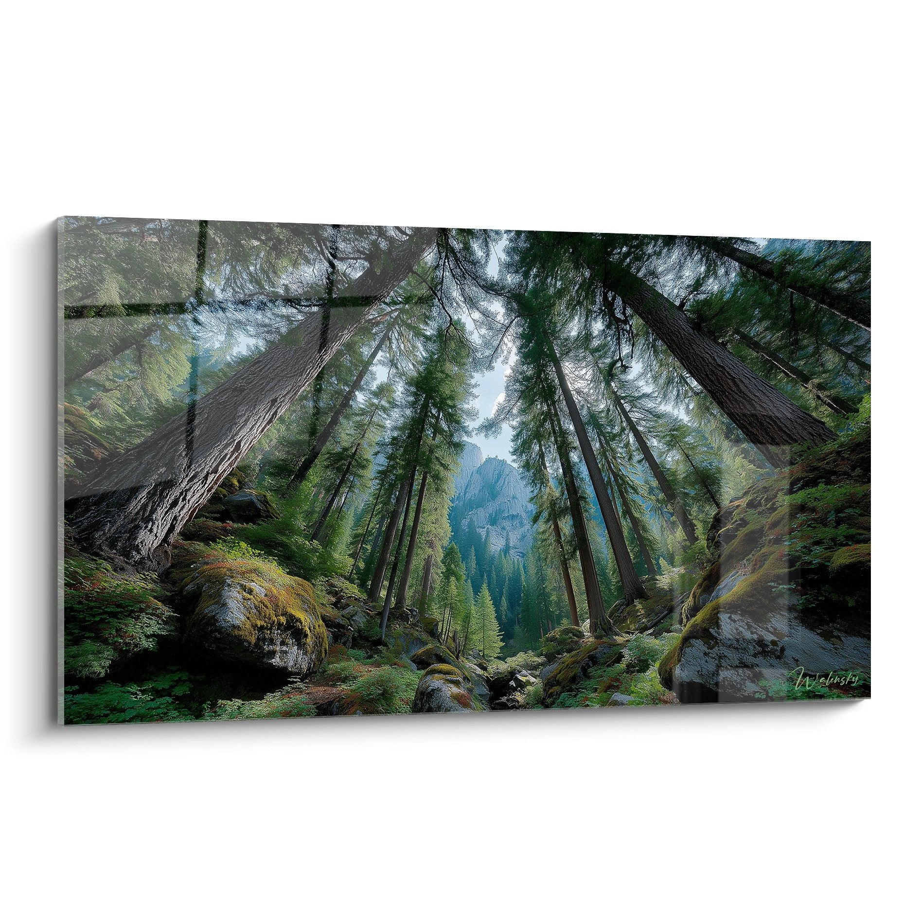 Tableau forêt séquoias géants en contre-plongée avec perspective cathédrale naturelle et montagnes
