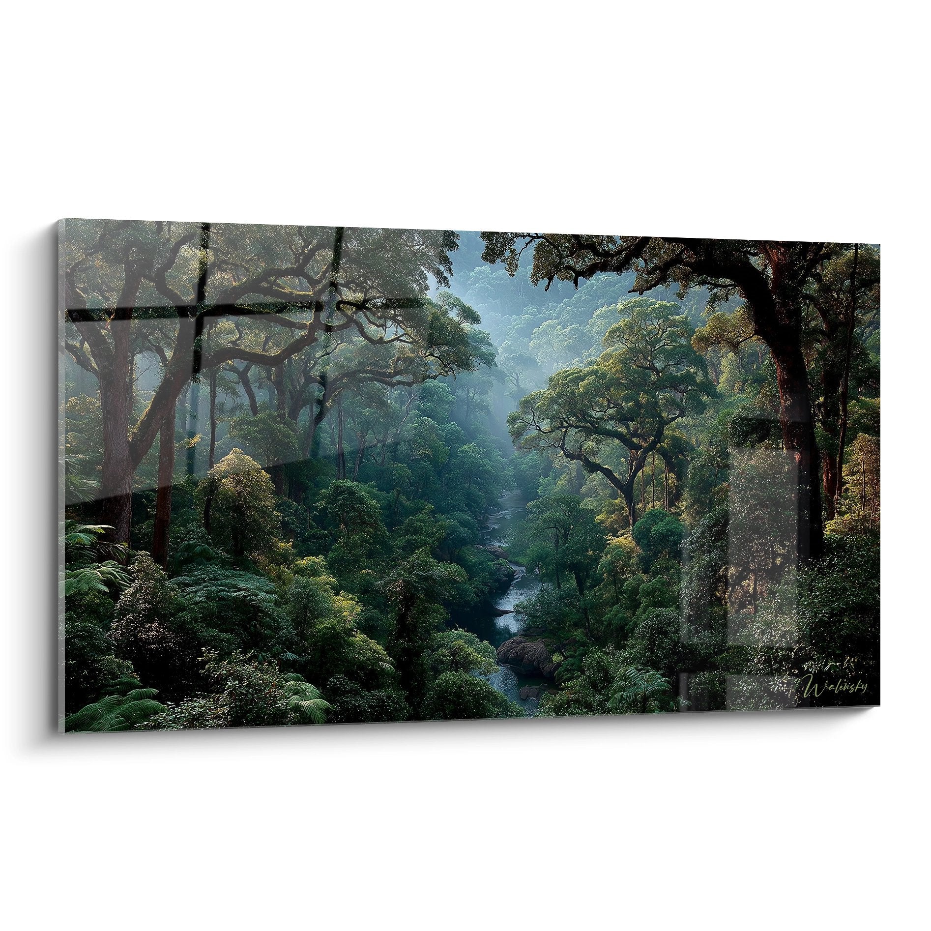 Tableau mural forêt tropicale avec rivière serpentant entre végétation luxuriante et arbres centenaires mystiques