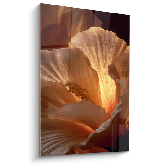 tableau formation rocheuse tons dores orange lumiere naturelle feng shui sud ouest terre