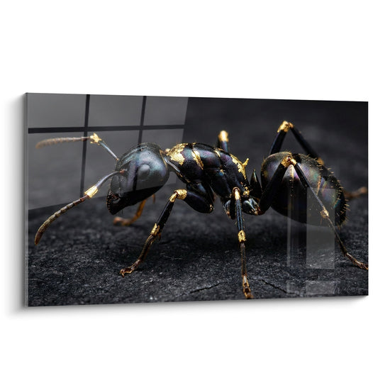 Metallic-Ameisen-Tafel mit goldenen Reflexen auf dunklem Hintergrund - Natürliche Pracht - Ameisen-Edition