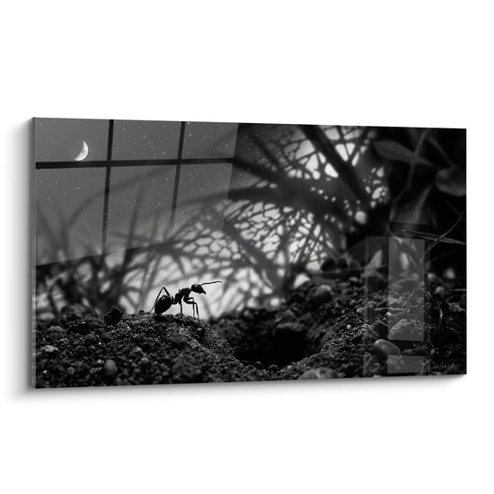 Gemälde Schwarze Ameise auf Erde unter Sternenhimmel - Nächtliche Einsamkeit - Edition Ant