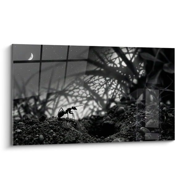 Cuadro de Hormiga Negra sobre Tierra bajo Luna Estrellada - Soledad Nocturna - Edición Formiga