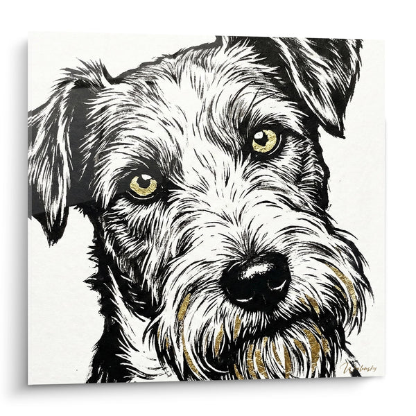 Cuadro de Perro Terrier Negro y Blanco con Ojos Dorados - Retrato Expresivo - Edición Fox Terrier