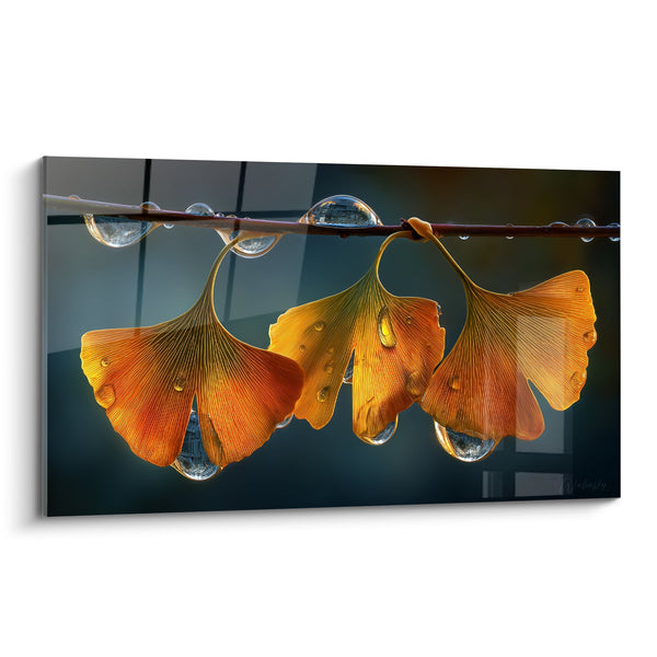 Schilderij gouden ginkgo bladeren en waterdruppels op tak - Herfstreflecties - Editie Ginkgo
