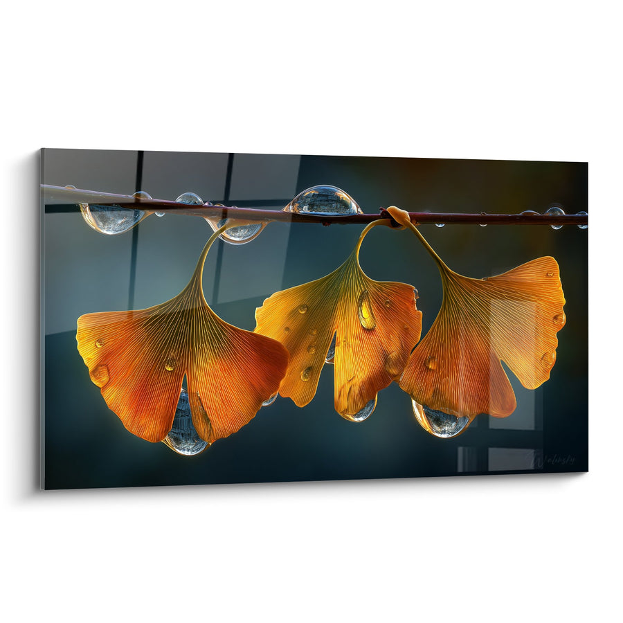 Tableau feuilles de ginkgo dorées et gouttes d'eau sur branche - Reflets d'automne - Edition Ginkgo