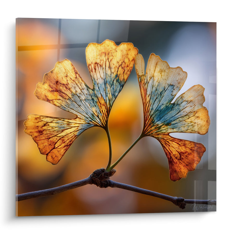 Tableau Feuilles de Ginkgo Dorées et Bleues sur Branche - Lumière Automnale - Edition Ginkgo