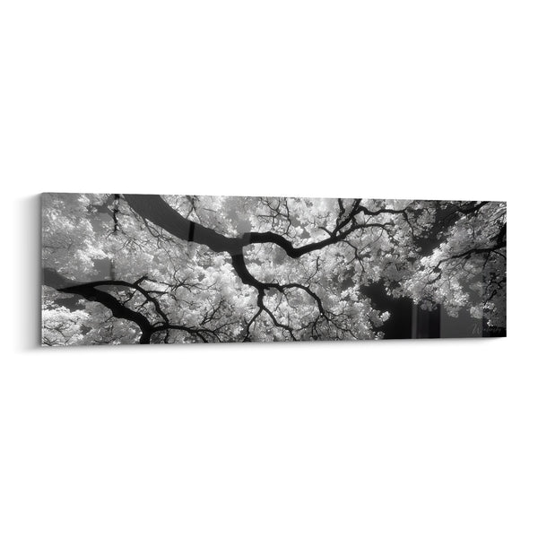 Cuadro de Ramas de Ginkgo en Blanco y Negro - Majestuosa Canopée - Edición Ginkgo