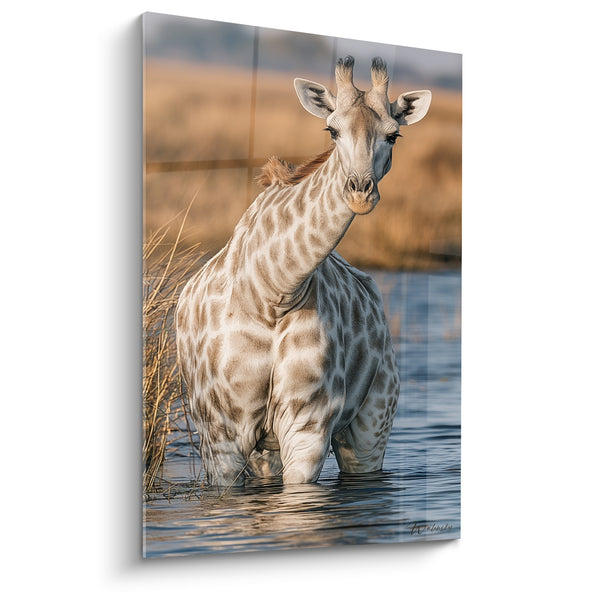 Tableau Girafe beige et bleu pâle traversant l'eau - Reflets sur l'onde - Edition Girafe