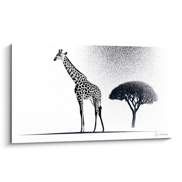 Tableau Girafe noire et blanche près d'un acacia - Silhouette d'acacia poudré - Edition Girafe