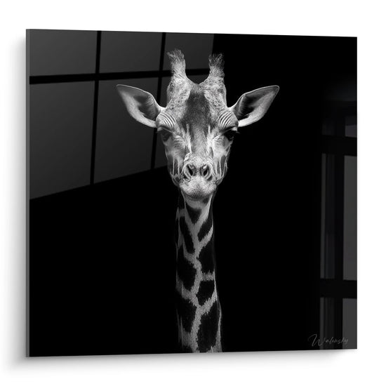 Giraffe Portrait Wall Art - Captivating Gaze - Black and White Animals Edition