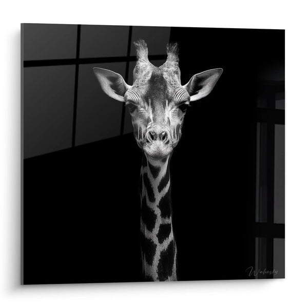 Cuadro Jirafa Retrato - Mirada Cautivadora - Edición animales blanco y negro