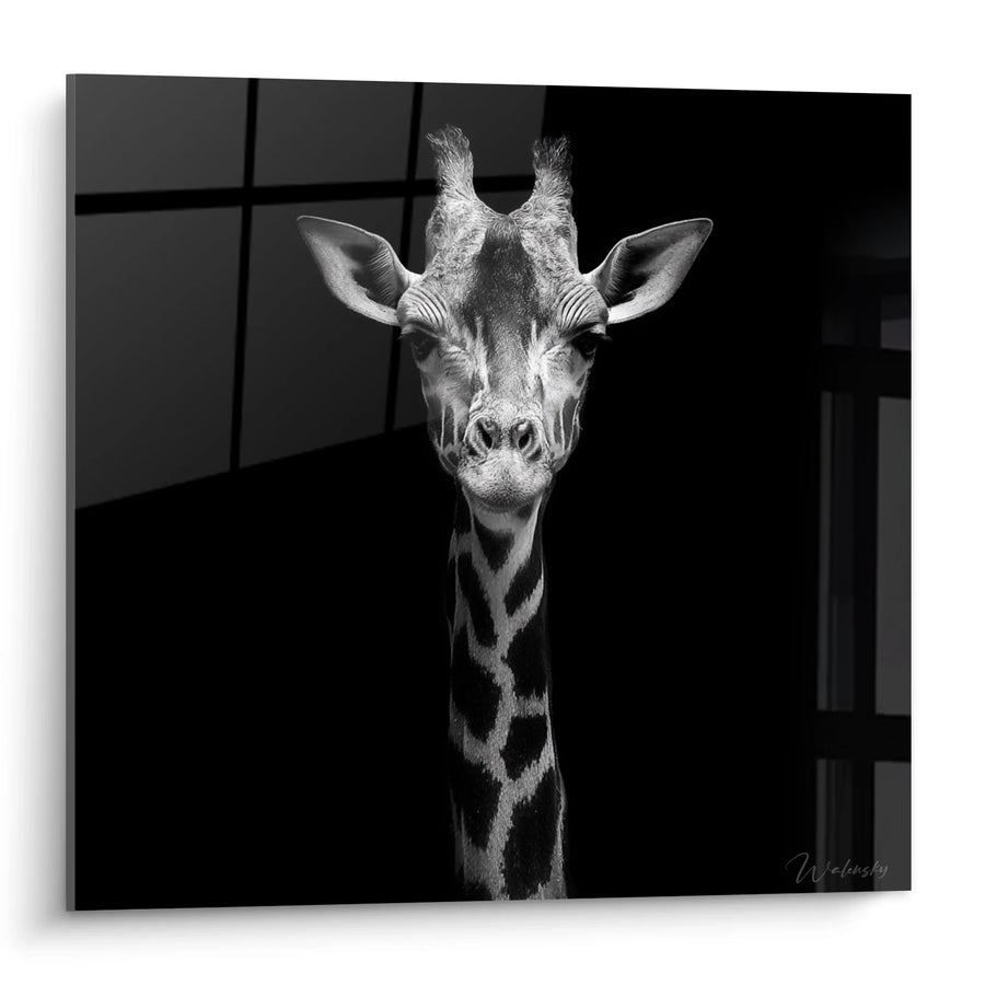 Tableau Girafe Portrait - Regard Captivant - Edition animaux noir et blanc