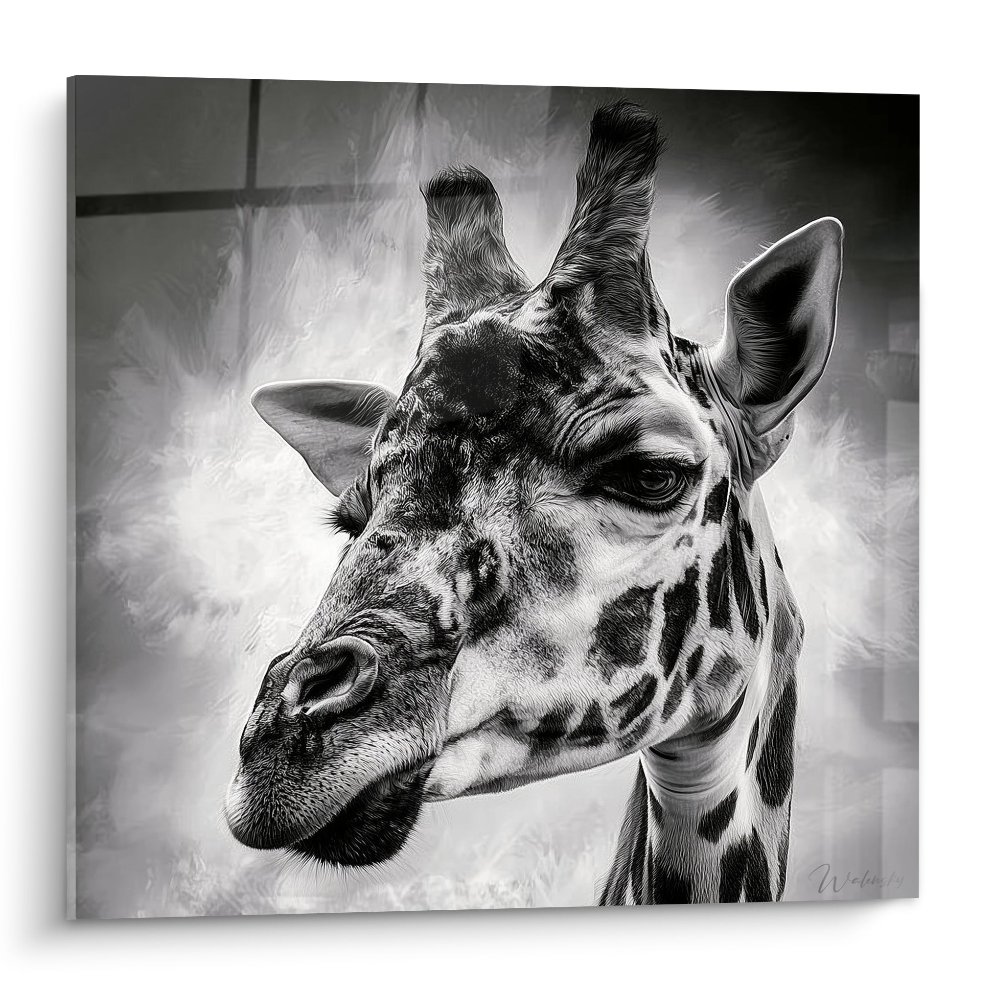 Girafe en gros plan, pelage tacheté noir et blanc, regard intense sur fond gris fumé