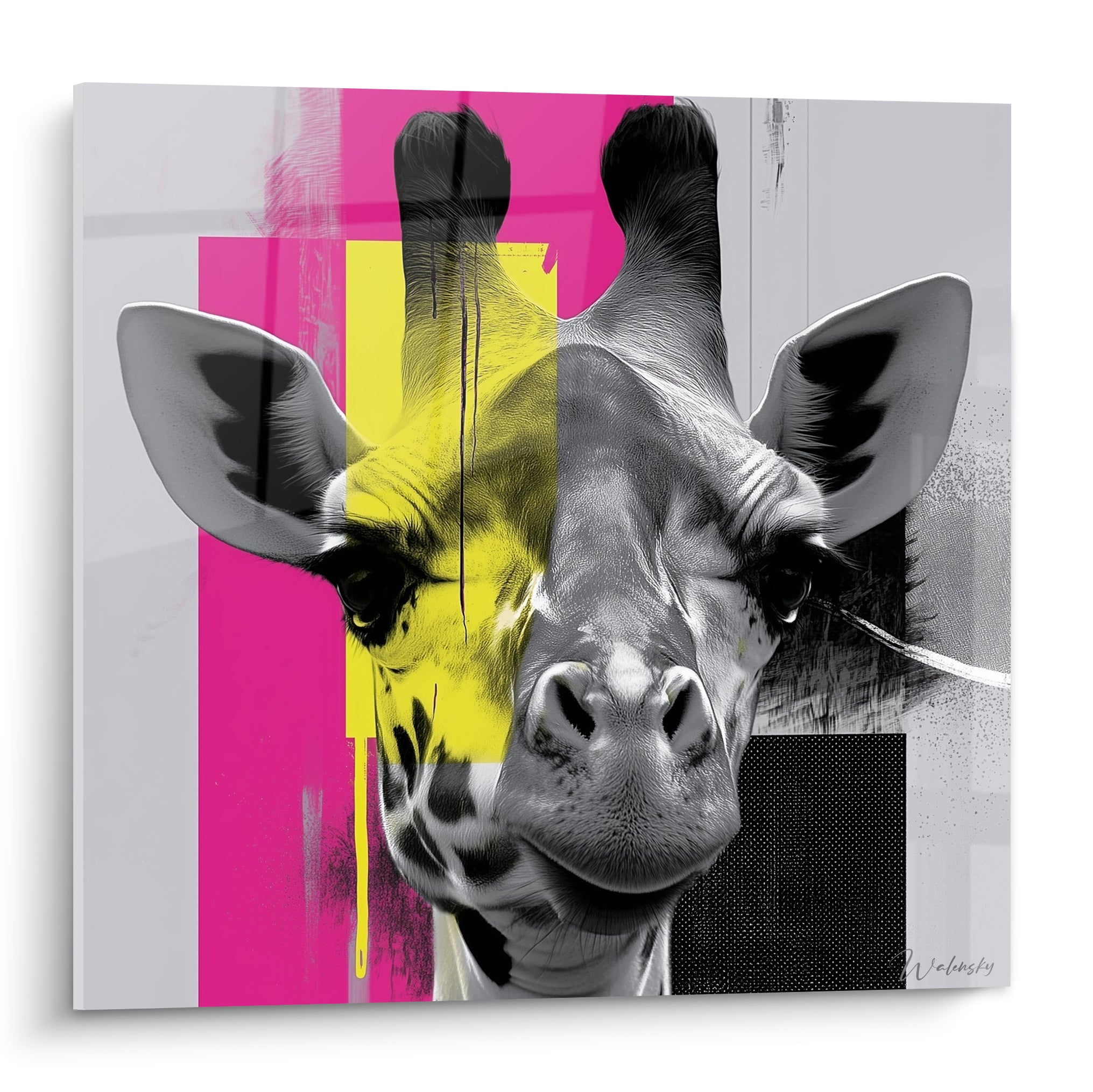 Girafe en noir et blanc traversée de bandes roses fuchsia et jaunes fluo, style pop art graphique