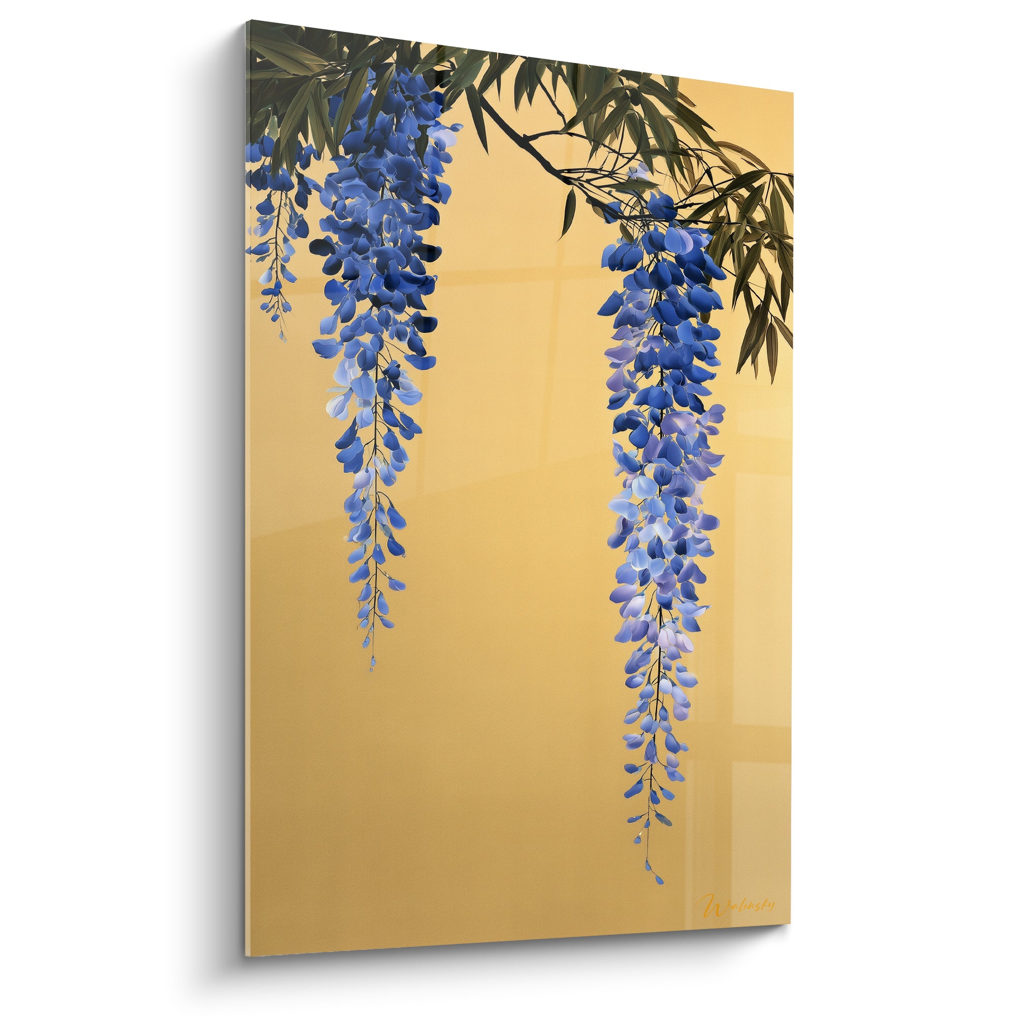 Glycine bleu marine et lavande tombant en grappes sur fond doré lumineux et feuillage vert