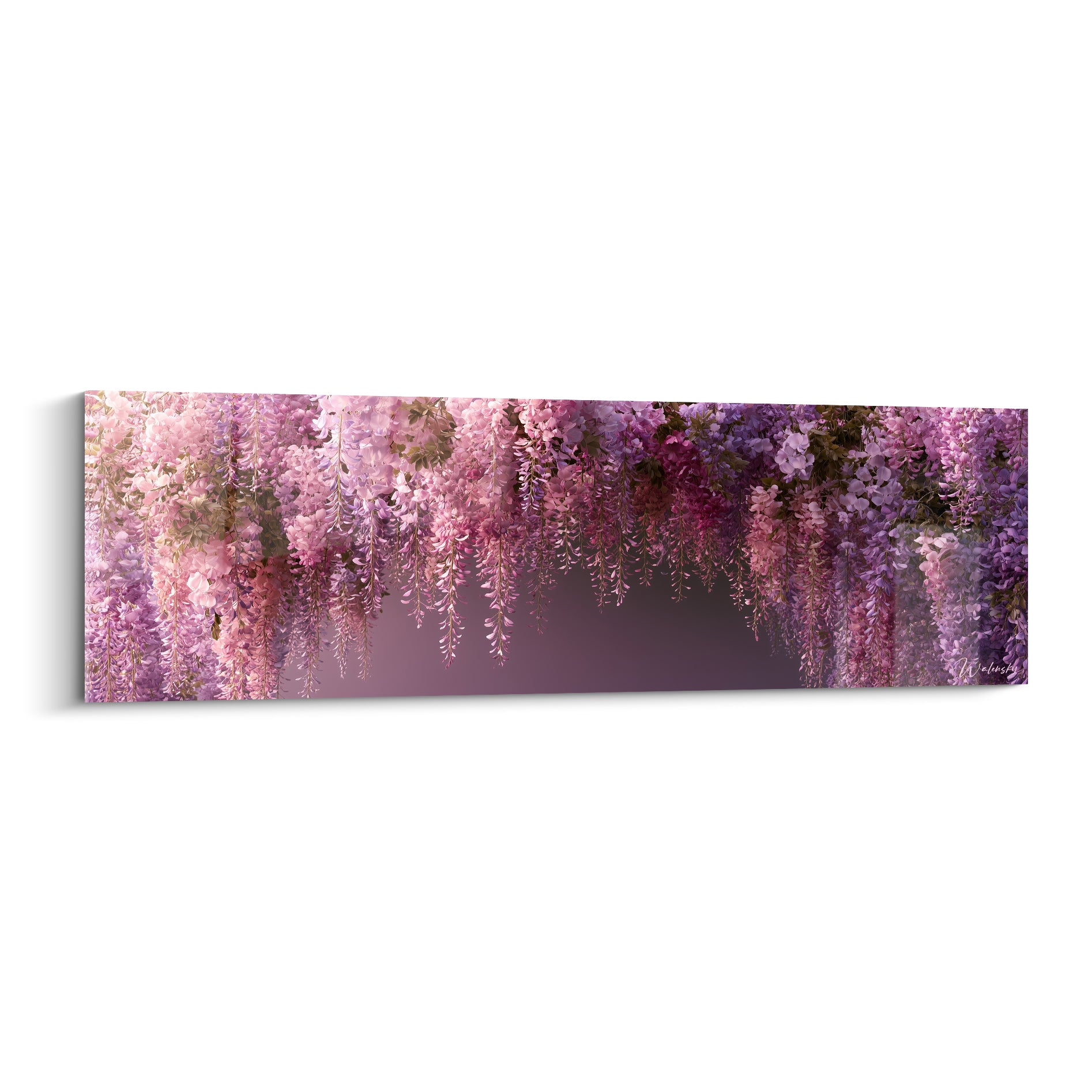 Glycine en cascade rose et mauve, grappes florales denses formant une voûte lumineuse