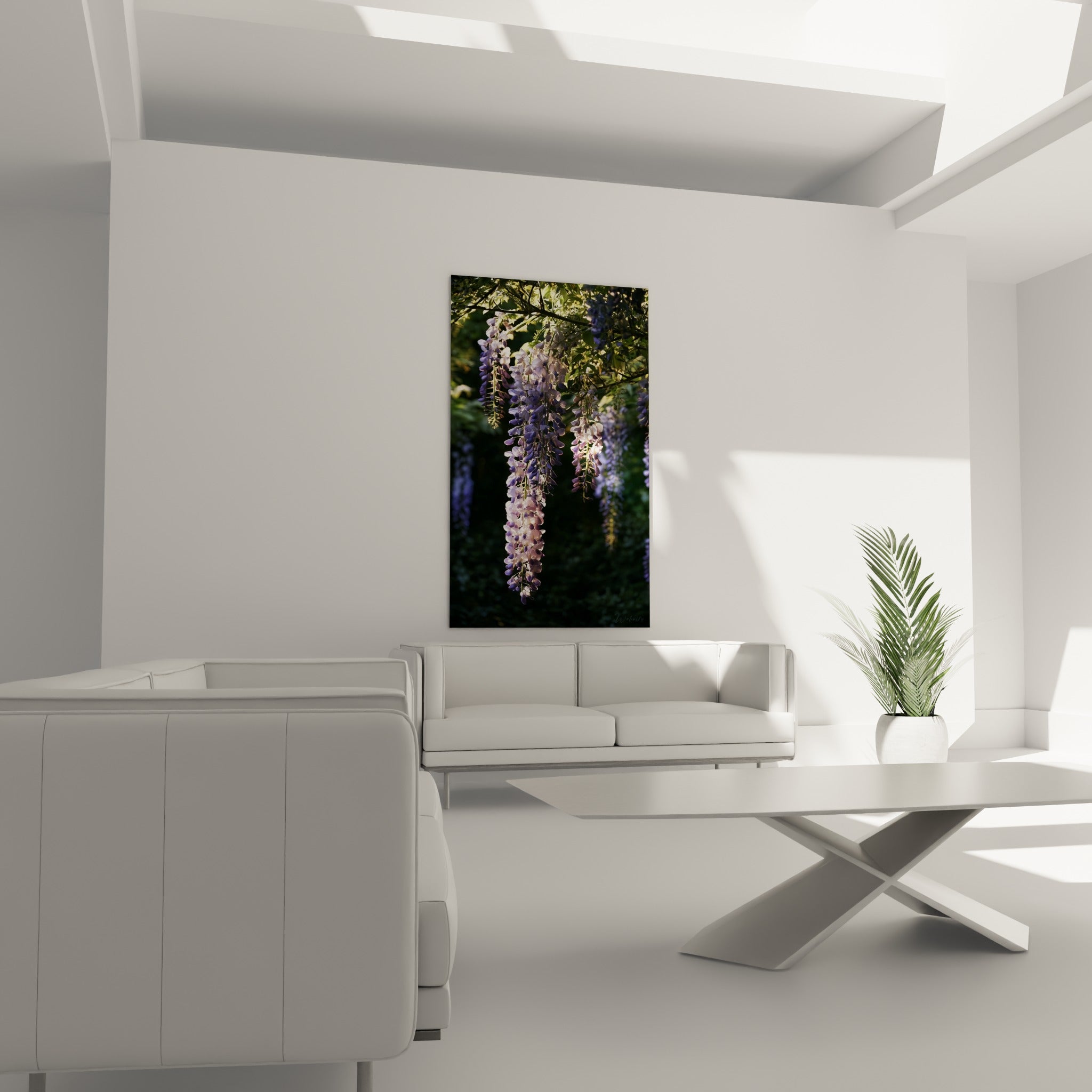 Fleurs de glycine lilas et blanches éclairées par le soleil au-dessus d'un canapé dans un salon lumineux