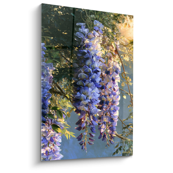 Tableau Grappes de glycine mauve et bleu doré - Lueur de printemps - Edition Glycine