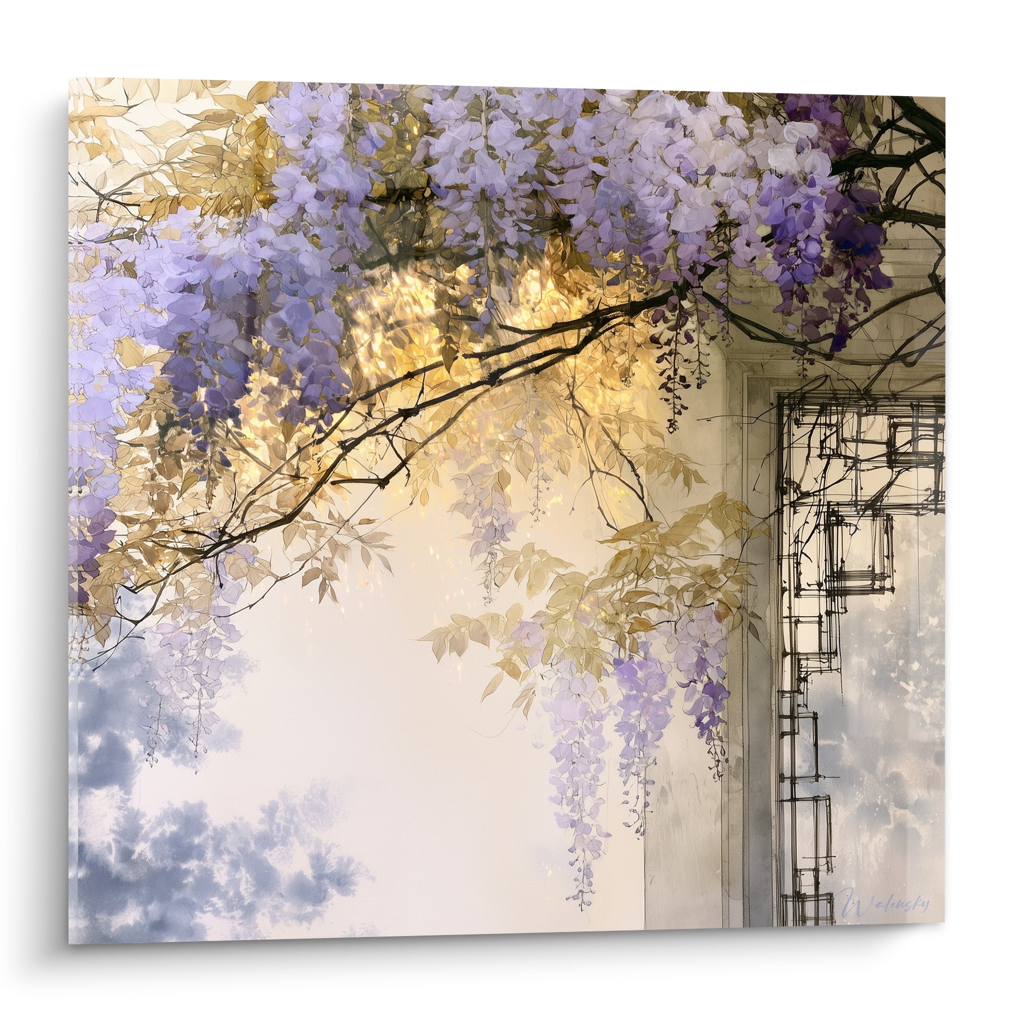 Glycine mauve et dorée en cascade sous une pergola, branches sombres et lumière filtrée