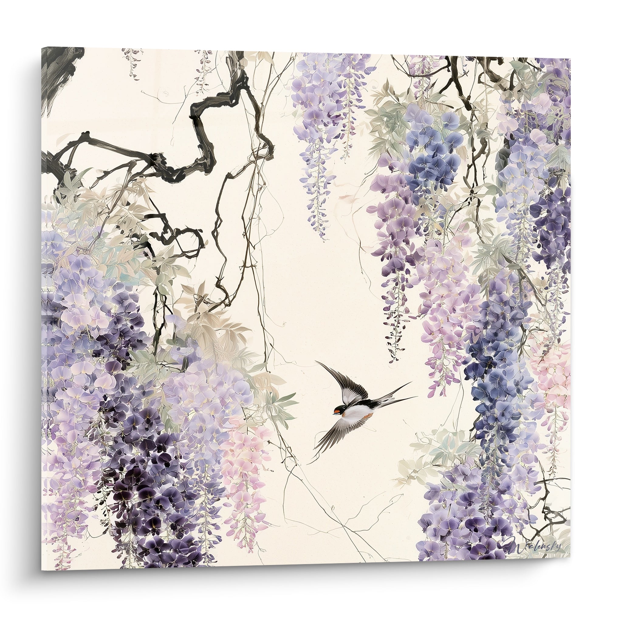Glycine mauve et violette en cascade avec hirondelle survolant les grappes fleuries sur fond ivoire