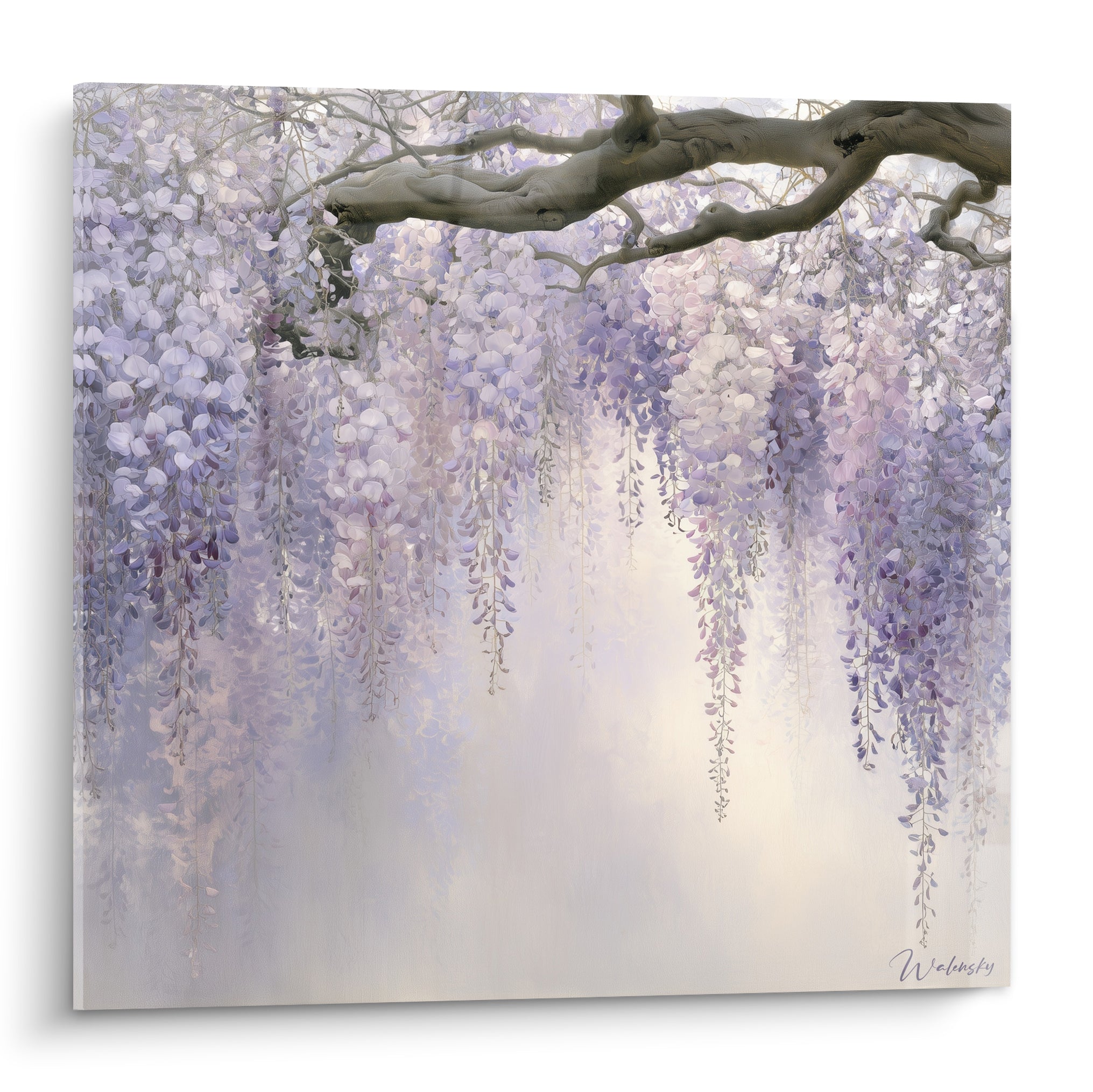 Glycine mauve et ivoire en grappes tombantes sous une branche brune sinueuse peinte