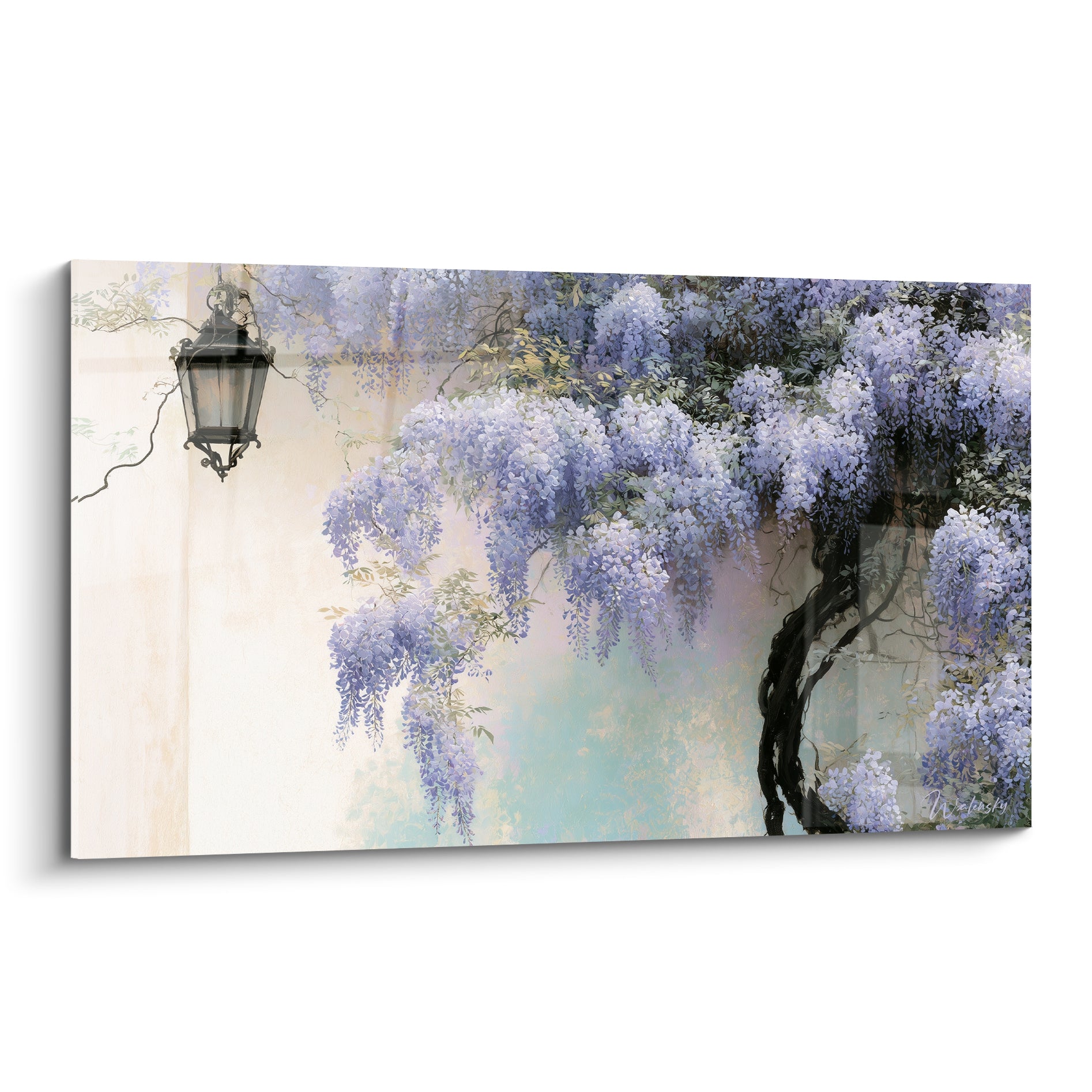Glycine mauve en cascade et lanterne noire sur mur beige patiné, tronc noueux, tons bleu pastel