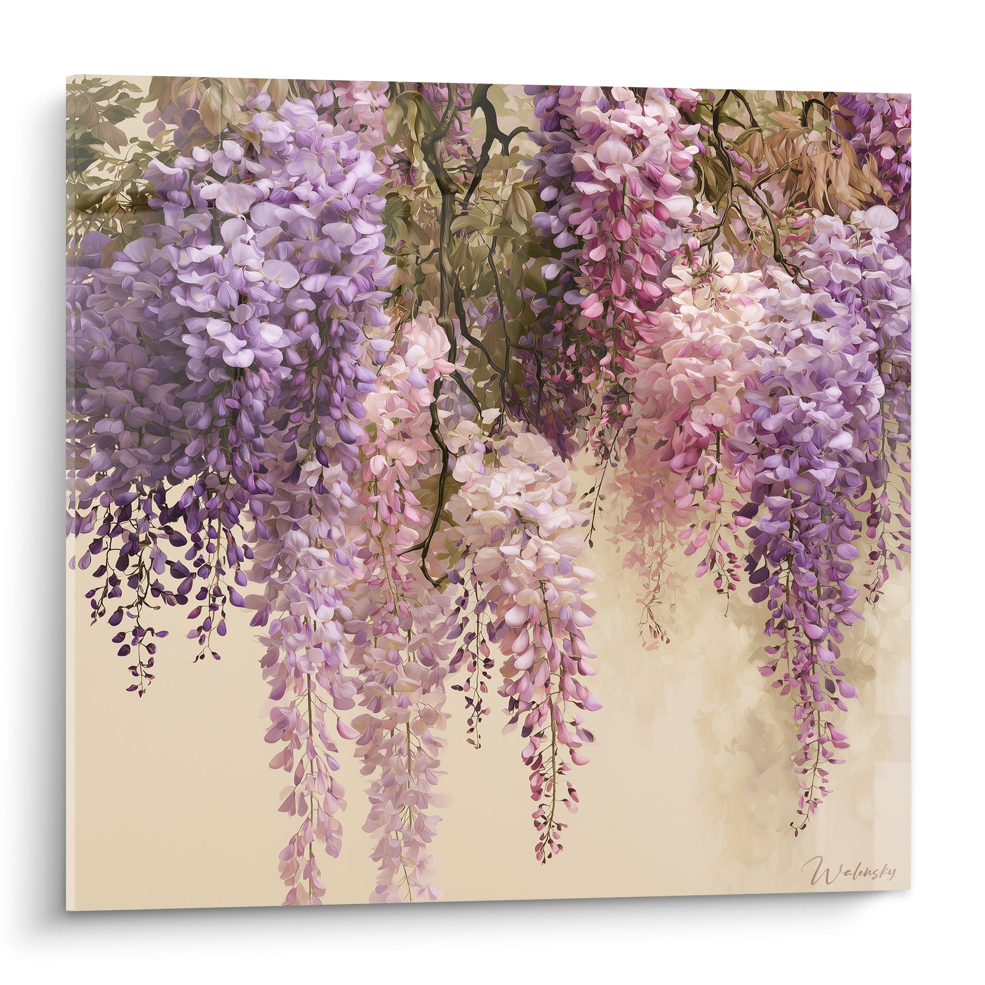 Glycine en cascade mauve et rose poudré, grappes florales suspendues sur fond crème délicat