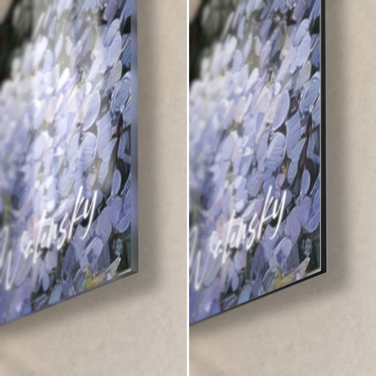 Wall art of lilac wisteria blooms with pearly petals, glossy acrylic glass on the left and matte black Dibond aluminium on the lower right corner