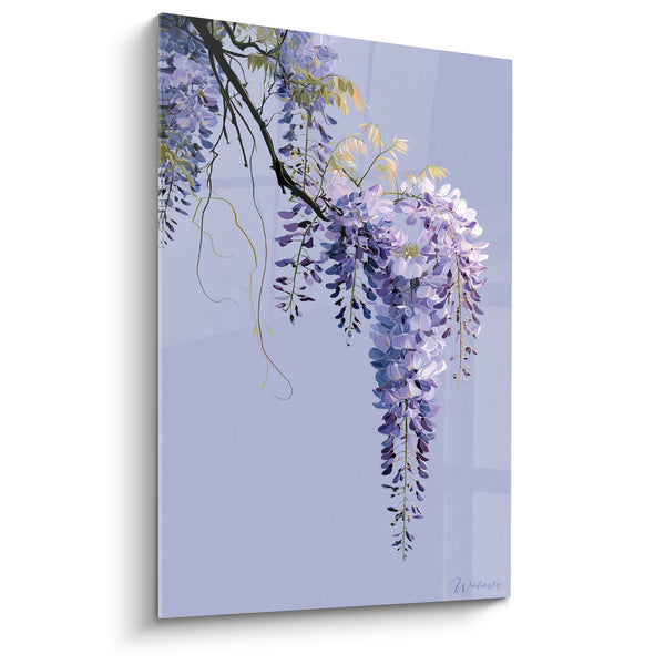 Tableau Grappes violettes et mauves aux vrilles pendantes - Fond lavande uni - Edition Glycine