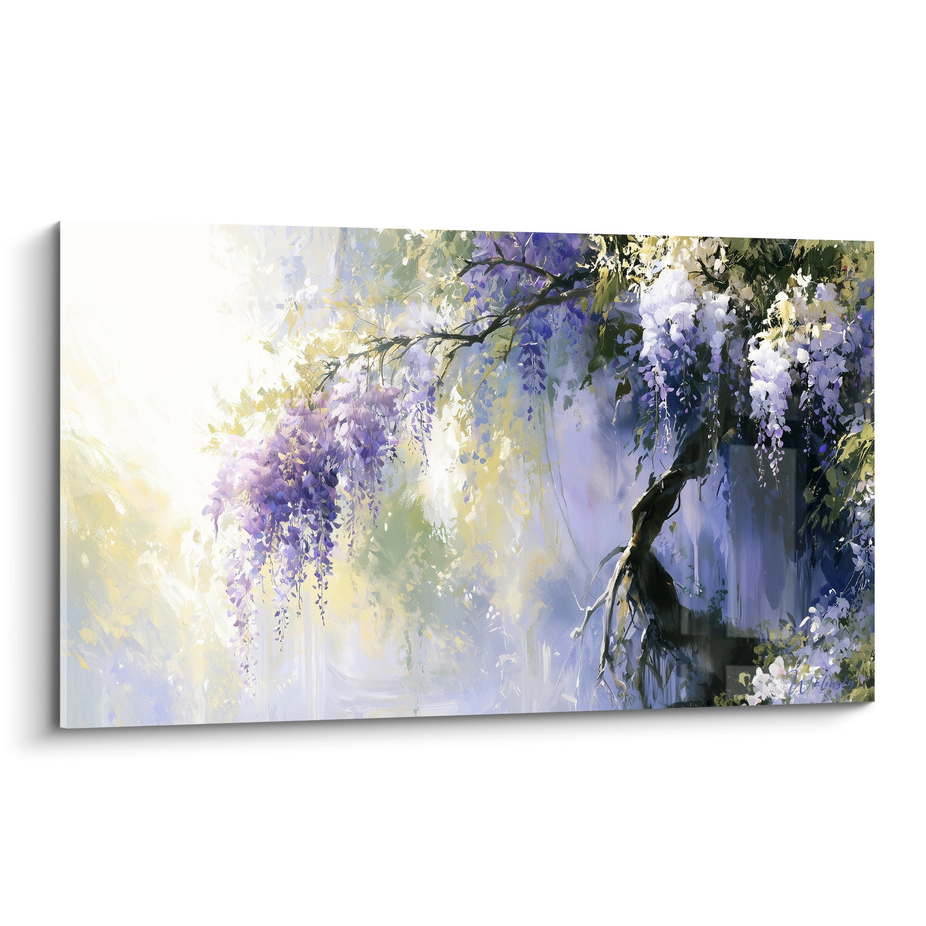 Glycine violette et blanche en cascade, branches sombres, lumière dorée diffuse à l'arrière-plan