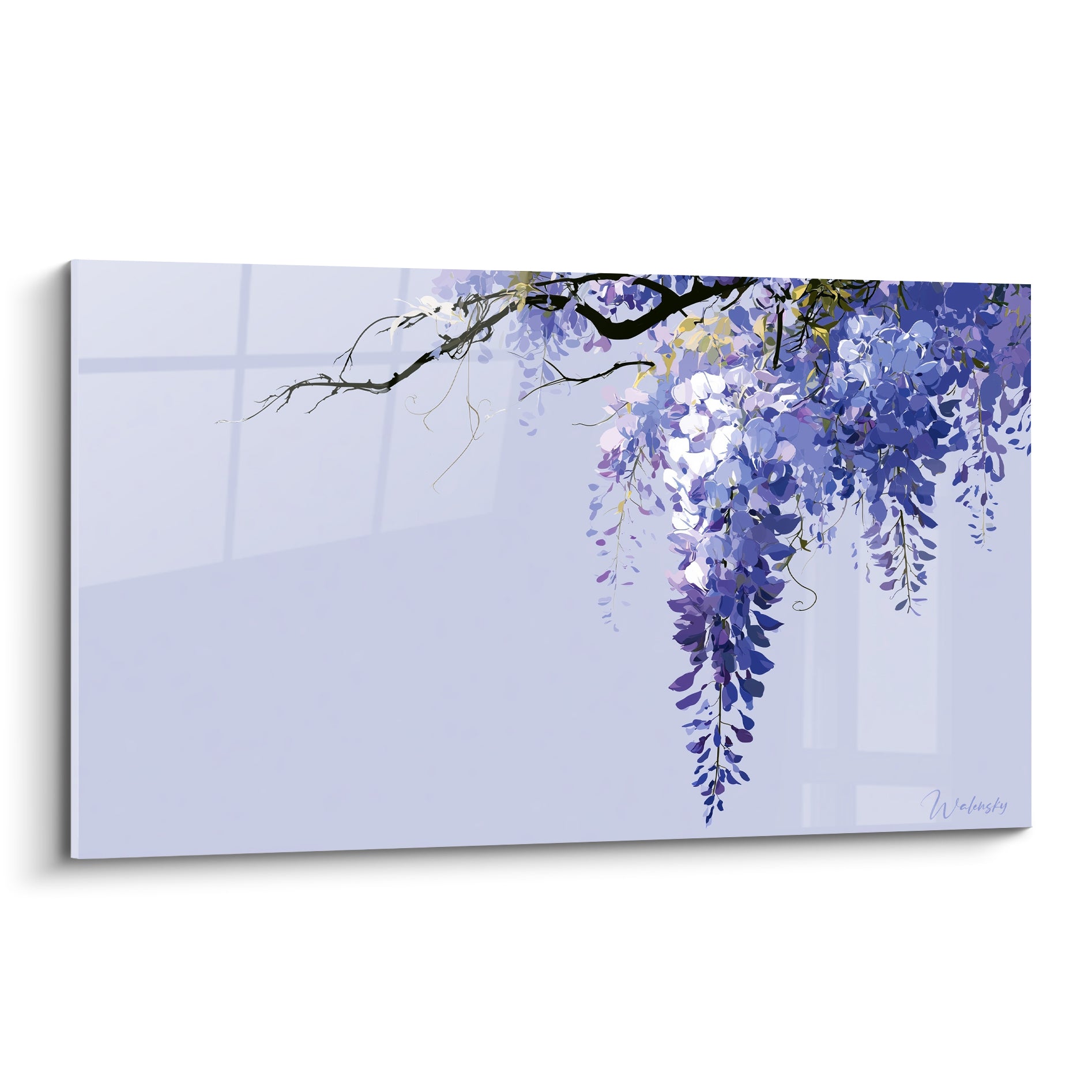 Glycine violette et bleu indigo aux grappes tombantes sur fond lilas pâle et lumineux