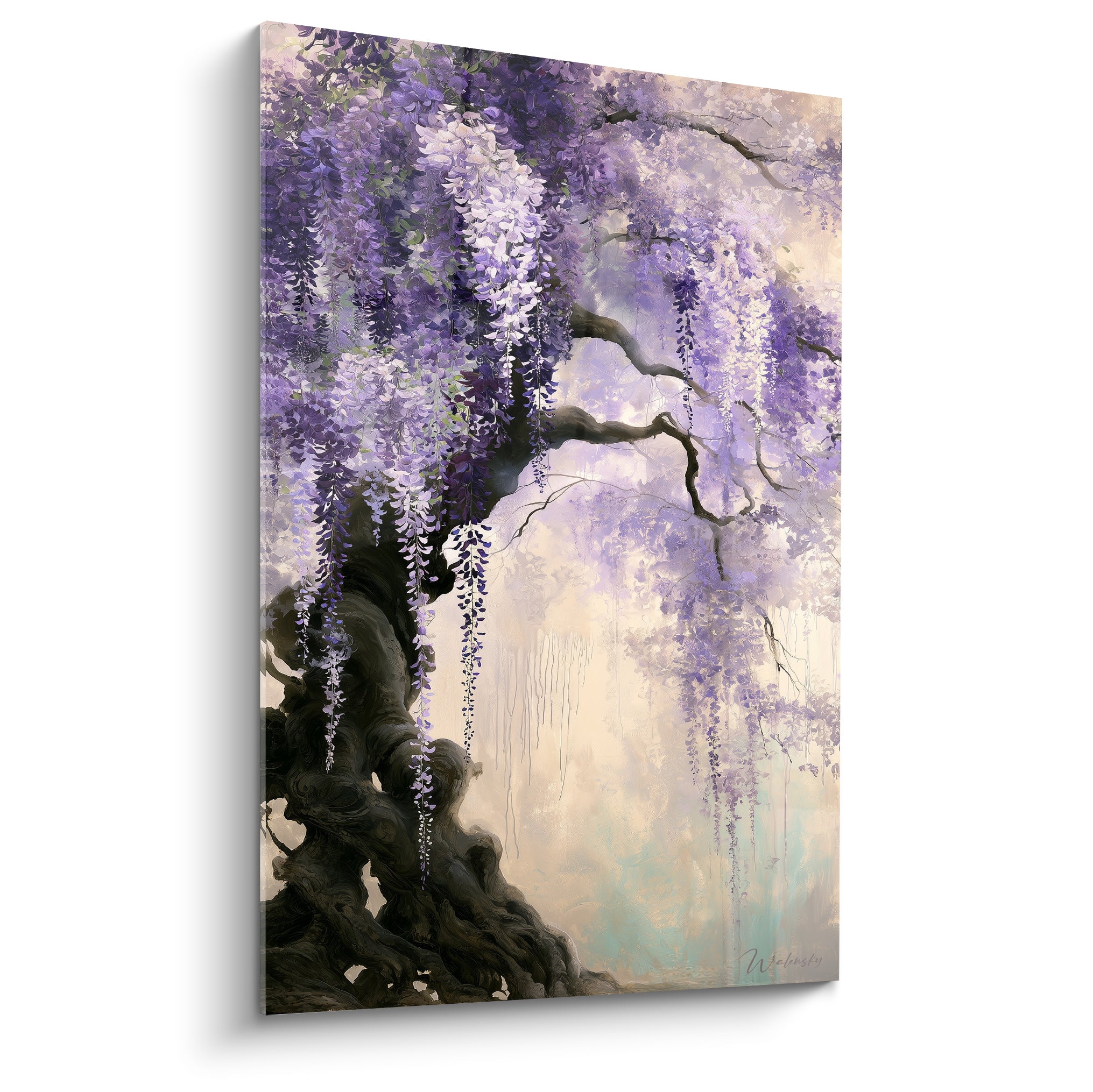 Glycine aux grappes violettes et blanches tombant d'un tronc noueux et brun