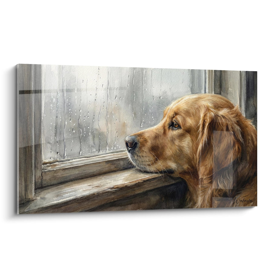 Tableau Chien Roux à la Fenêtre sous la Pluie - Mélancolie Canine - Edition Tableau Golden Retriever