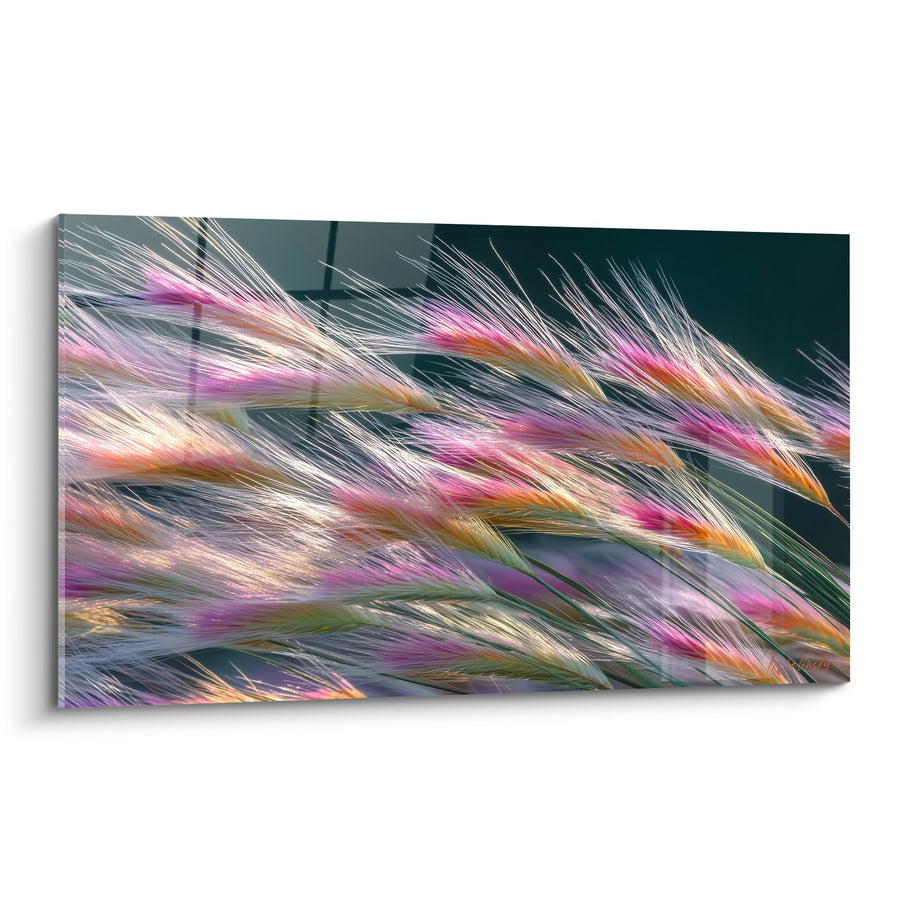 Tableau Graminées Multicolores en Mouvement Dynamique - Symphonie Végétale - Edition Graminées