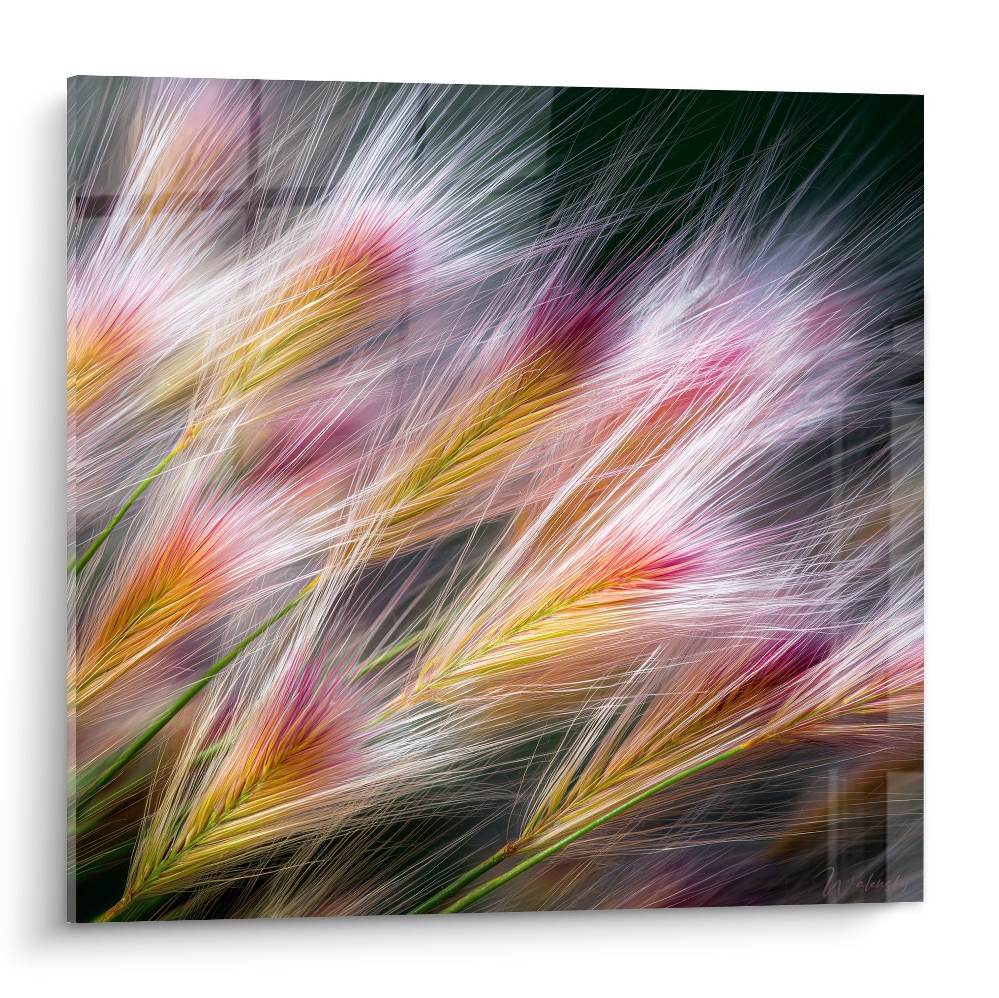Tableau graminées épis dorés flou artistique mouvement couleurs chaudes rose orange vert nature abstraite