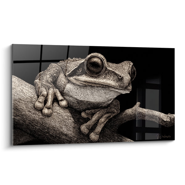 Tableau Grenouille arboricole beige et noire sur branche - Vigie nocturne - Edition grenouille