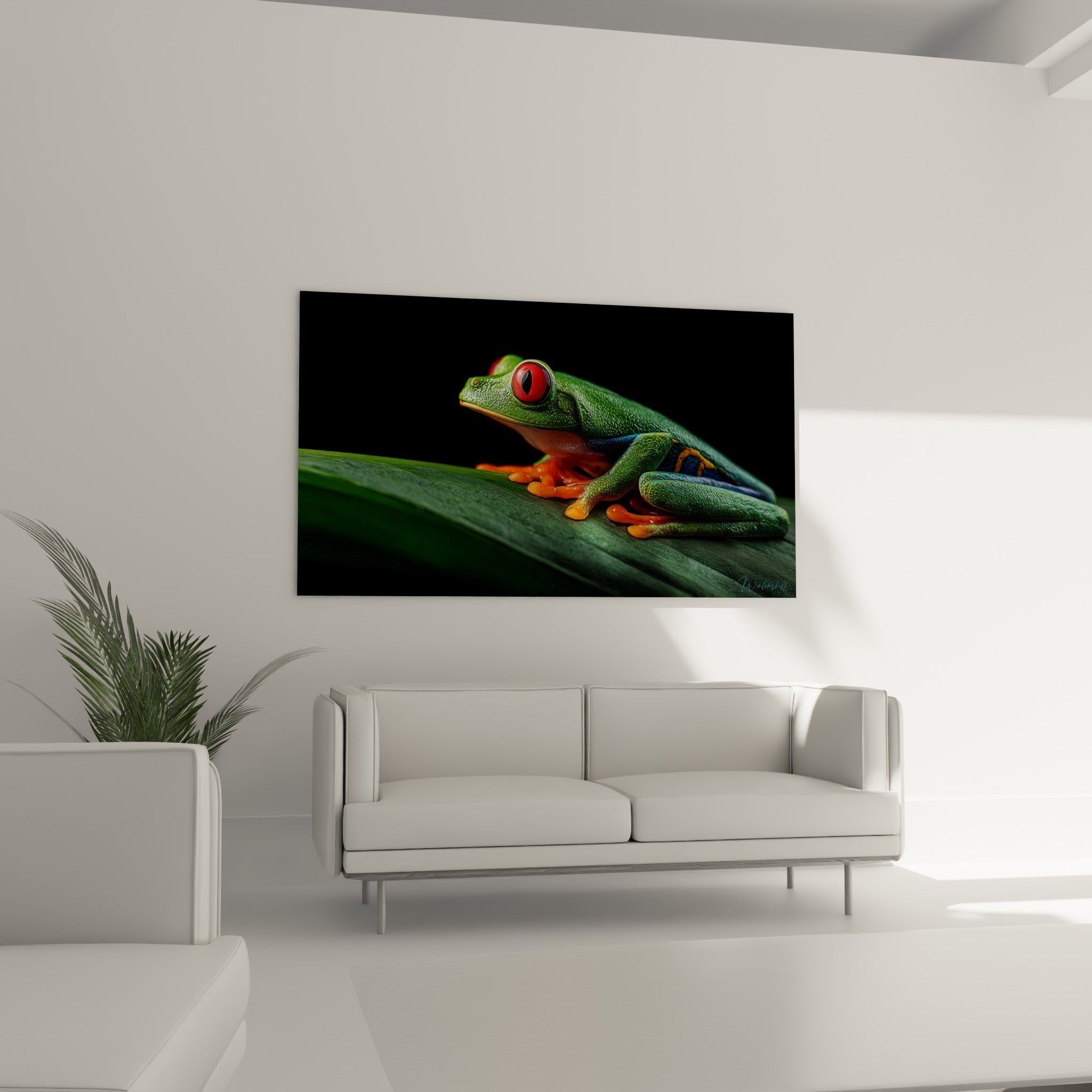 Rainette aux yeux rouges et corps vert émeraude au-dessus d'un canapé dans un salon lumineux