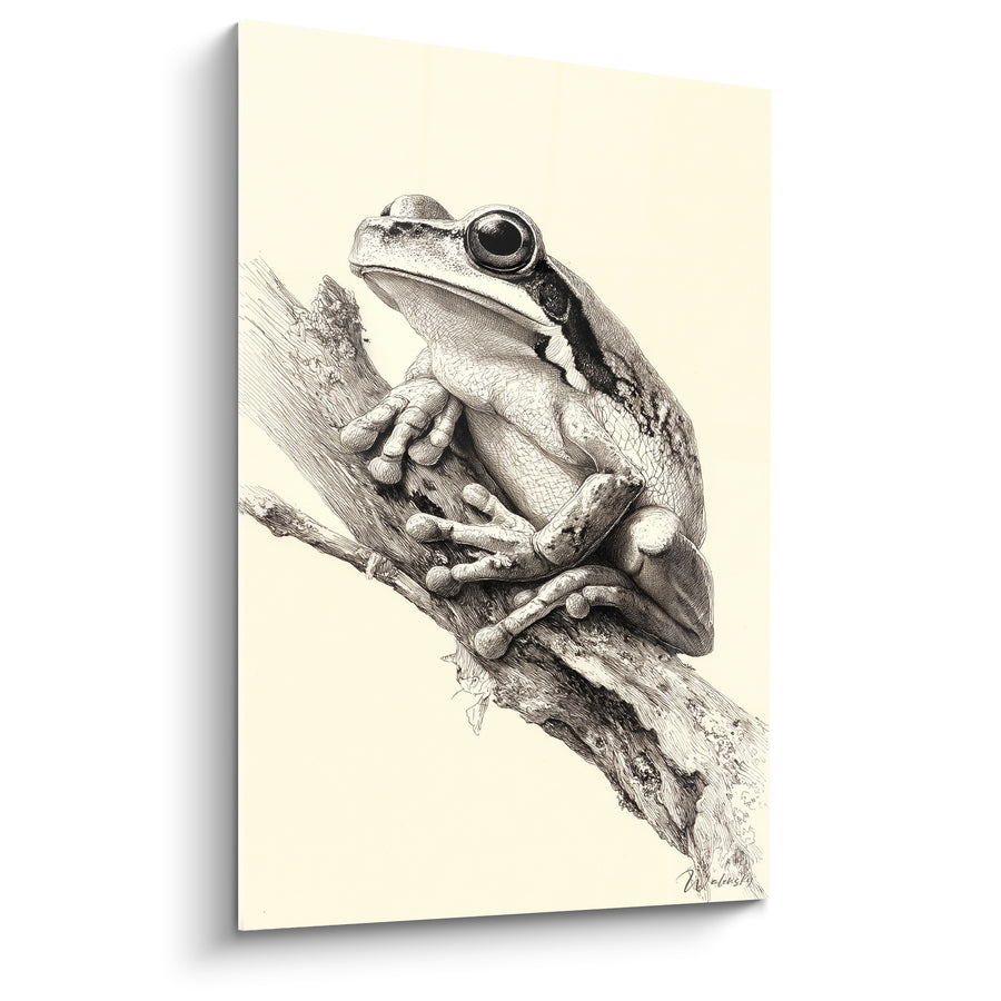 Tableau Grenouille noire et ivoire sur branche noueuse - Étude au trait fin - Edition grenouille
