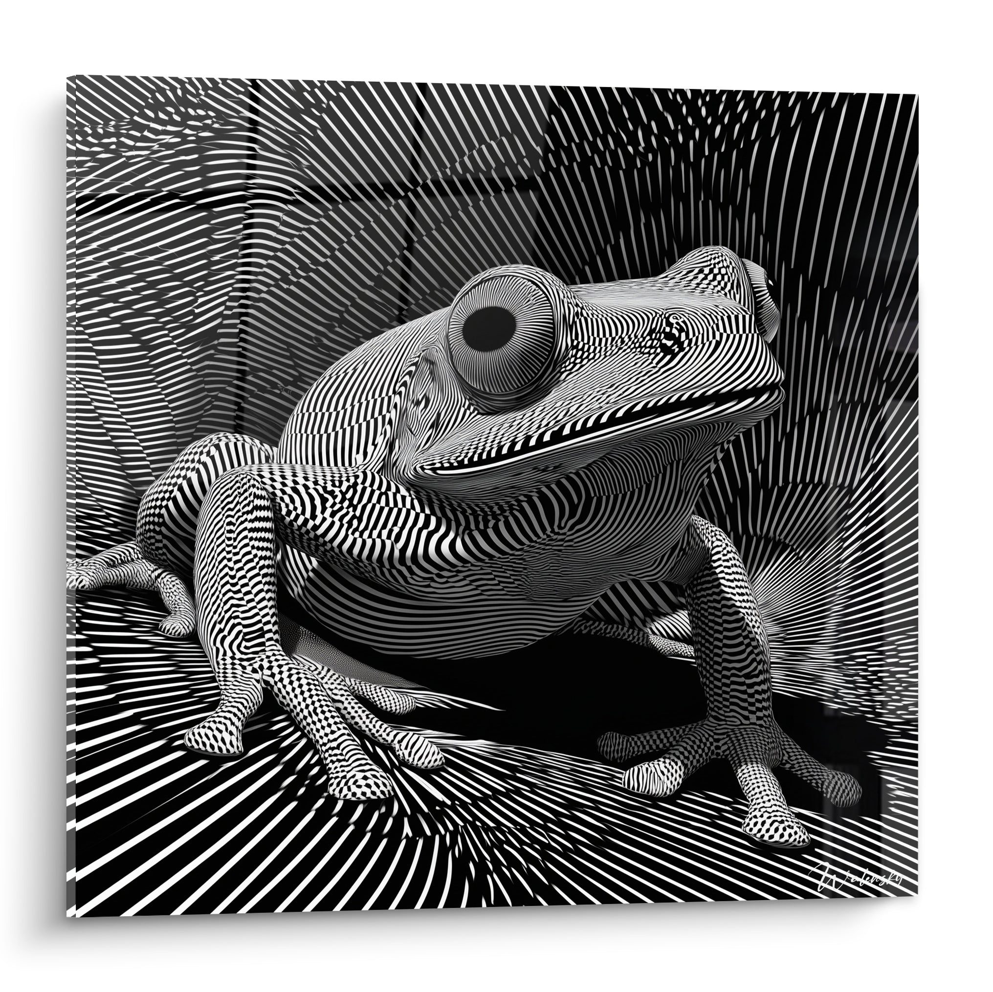 Grenouille accroupie aux lignes noir et blanc hypnotiques, œil sombre perçant, style graphique intense