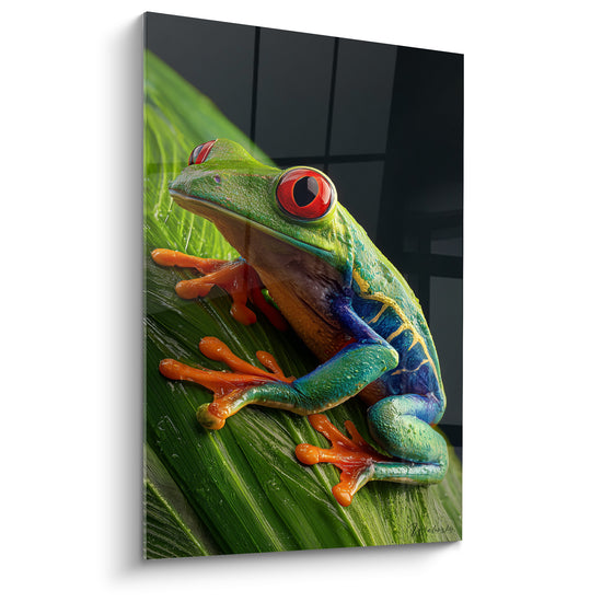 Tableau Rainette verte et bleue sur feuille étroite - Flancs veinés dorés - Edition grenouille