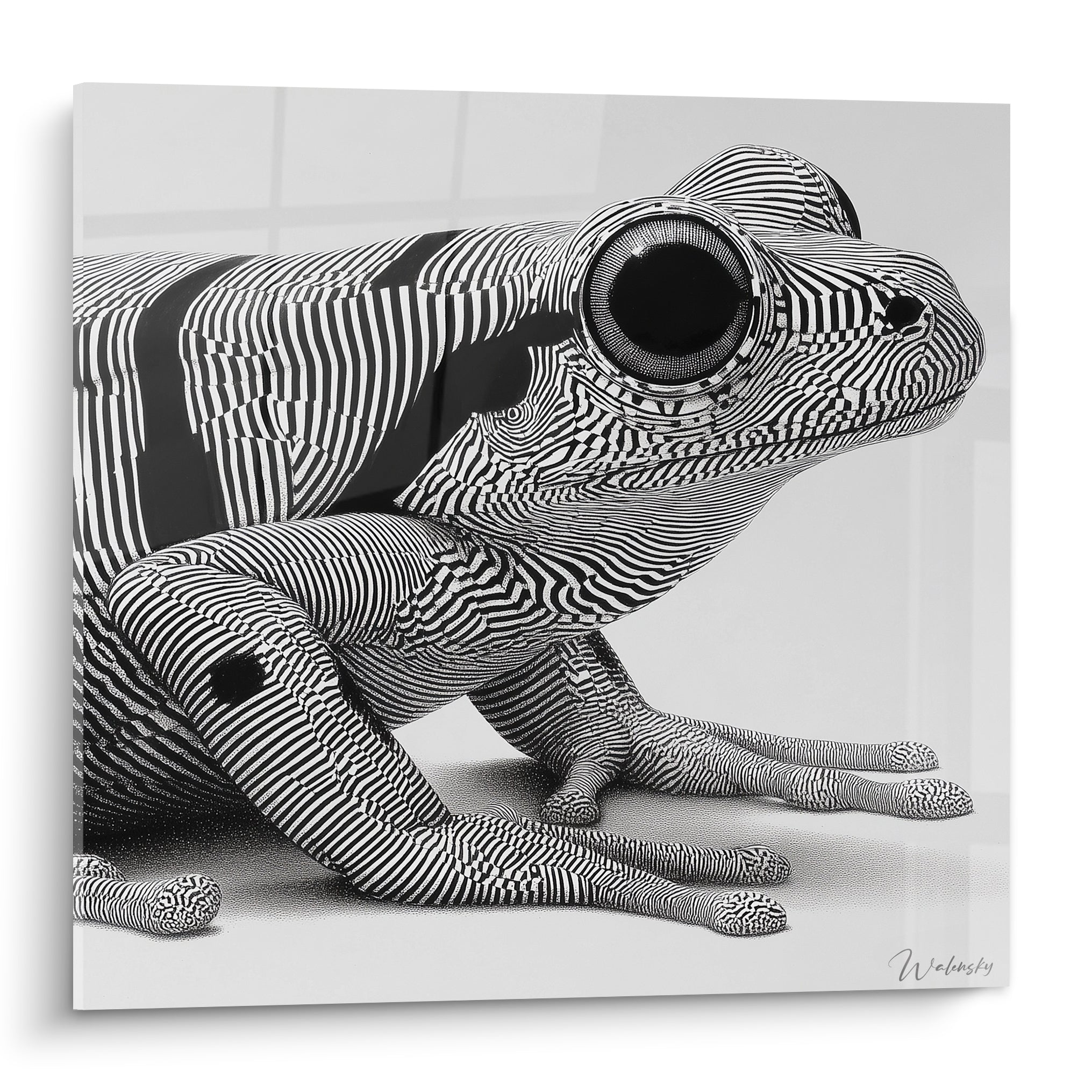 Grenouille zébrée noir et blanc au regard sombre, motifs graphiques hypnotiques sur fond clair.