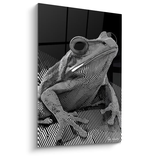 Tableau Grenouille noire et blanche aux rayures ondulantes sur carrelage - Œil en spirale - Edition grenouille